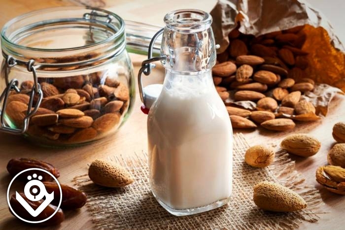 خواص شیر بادام برای سلامت بدن